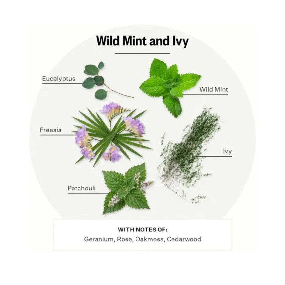 APOTHEKE Scented Soy Candle - Wild Mint & Ivy - 10.5 oz - Brand NEW in Box